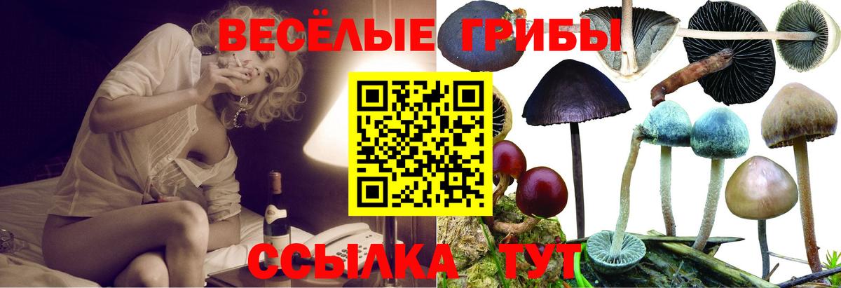 Галлюциногенные грибы GOLDEN TEACHER Нижнекамск